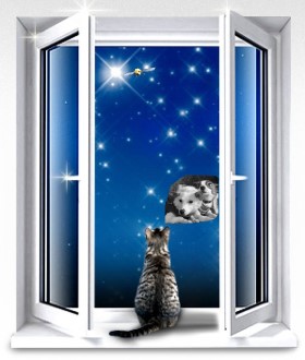 ����������� ����